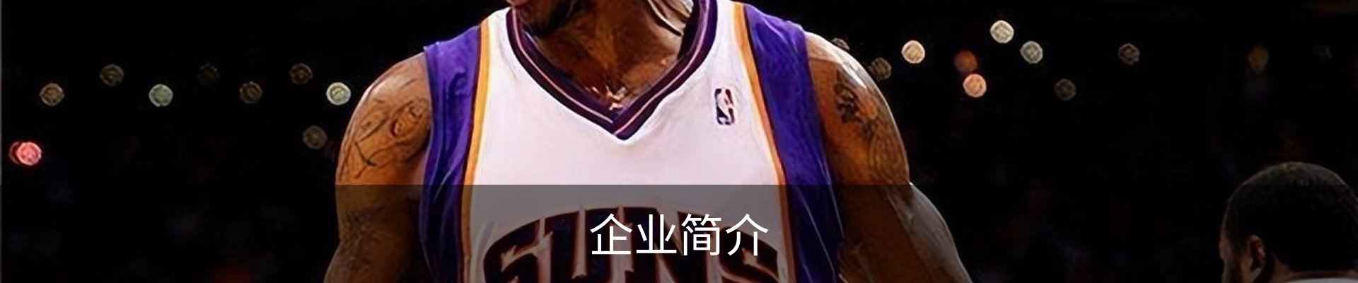 企业简介